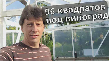 Закладываем виноградную теплицу  на 32 сорта. Калининград.