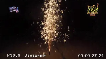 Р3009(Звёздный)