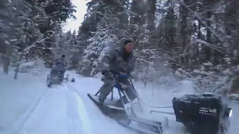 В зимнем лесу на мотобуксировщиках Альбатрос!