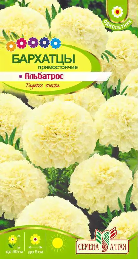 Бархатцы Альбатрос 0,1 г, Семена Алтая
