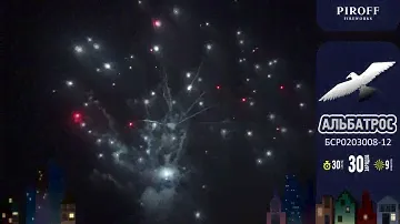 Альбатрос БСР0203008 12